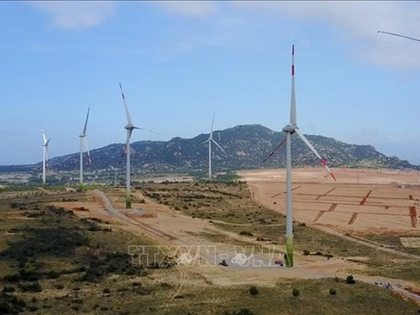 Parque eólico Mui Dinh, en la provincia central de Ninh Thuan (Fuente: VNA)