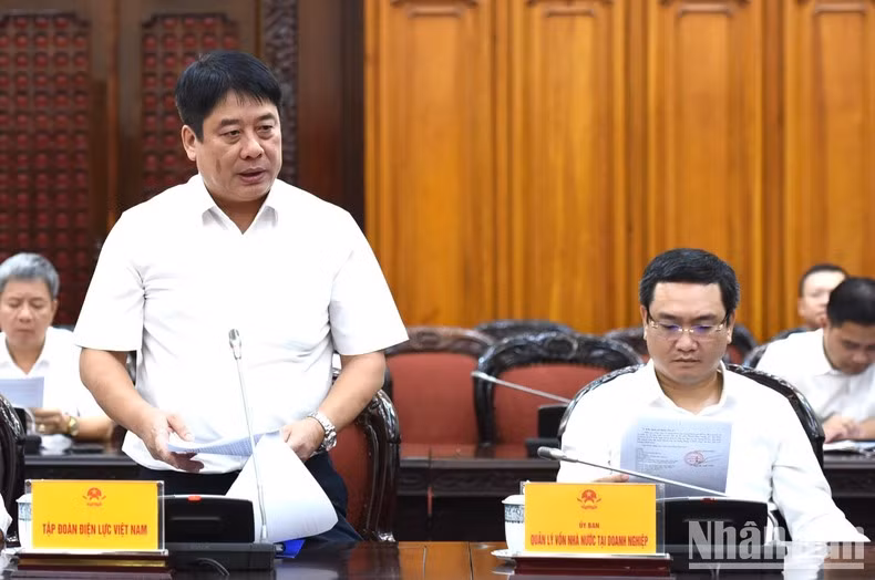El director general del Grupo de Electricidad de Vietnam, Nguyen Anh Tuan.