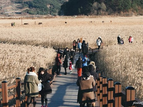 Turistas en Jeolla del Sur. (Fuente: Internet)