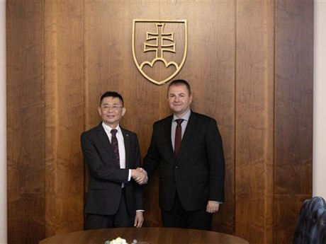 El embajador de Vietnam en Eslovaquia, Nguyen Tuan (izquieda), y el presidente del Comité de Relaciones Exteriores del Consejo Nacional (Parlamento) eslovaco, Marián Kéry. (Foto: VNA)