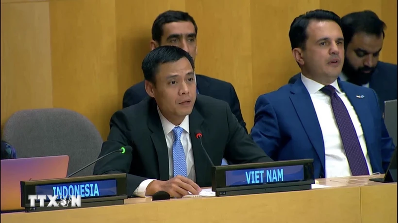 El embajador Dang Hoang Giang, representante permanente de Vietnam ante la Organización de Naciones Unidas. (Fuente: VNA)