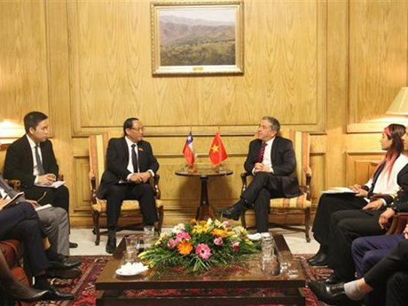 En el encuentro (Foto: VNA)