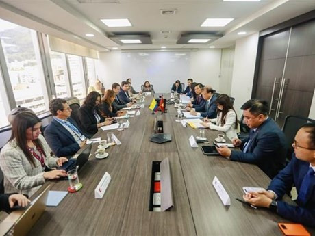 Panorama de la reunión. (Fuente: VNA)