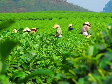 Foto ilustrativa (Fuente: congthuong.vn)