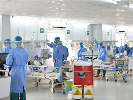 Un panorama del simulacro sanitario (Fotografía: VNA)