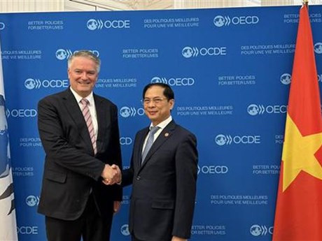 El ministro de Relaciones Exteriores de Vietnam, Bui Thanh Son, y el secretario general de la Organización para la Cooperación y el Desarrollo Económicos (OCDE), Mathias Cormann. (Foto: VNA)