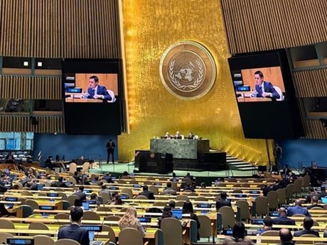 El embajador Dang Hoang Giang, jefe de la misión vietnamita ante las Naciones Unidas (ONU), en la reunión (Fotografía: VNA)