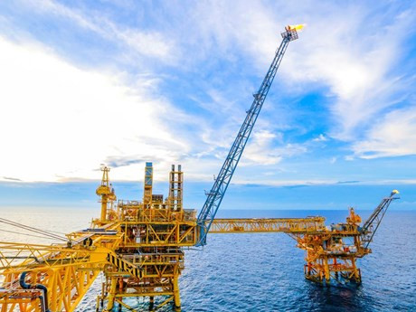 Plataforma Su Tu Trang (Fuente: VNA)
