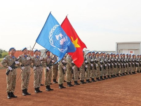 Segunda unidad de zapadores de Vietnam (Foto: Departamento de Operaciones de Mantenimiento de la Paz de Vietnam)