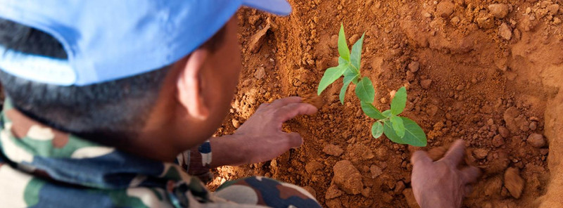 Medio ambiente y recursos naturales: víctimas silenciosas de conflictos 