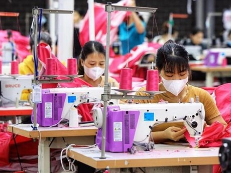 El ingreso per cápita de los trabajadores vietnamitas aumenta 6,9 por ciento en 2023.(Foto: VNA)