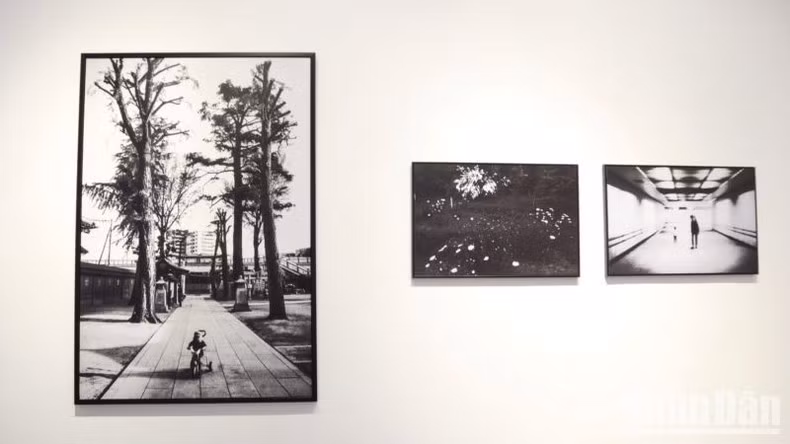 Las obras no tienen leyendas, pues el autor desea que los espectadores aprecian cada foto a través de su propia perspectiva.