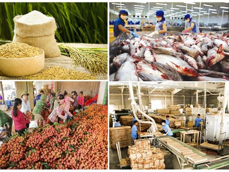 Exportaciones de productos agroforestales-acuáticos en julio superan a los 4 mil millones de dólares