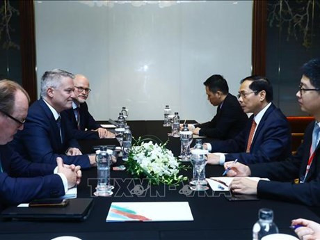 El ministro de Relaciones Exteriores de Vietnam, Bui Thanh Son, recibe al secretario general de la Organización para la Cooperación y el Desarrollo Económico (OCDE), Mathias Cormannn (Fuente: VNA) 