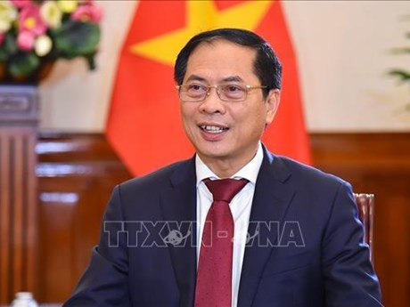 El canciller vietnamita Bui Thanh Son (Fotografía: VNA)