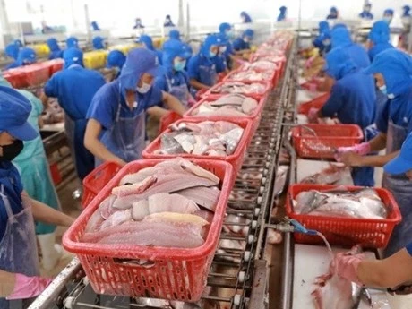 La empresa Ca Mau procesa productos del mar para la exportación. (Foto: VNA)