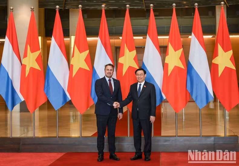 Presidente de la Asamblea Nacional de Vietnam recibe al premier de Luxemburgo ảnh 3