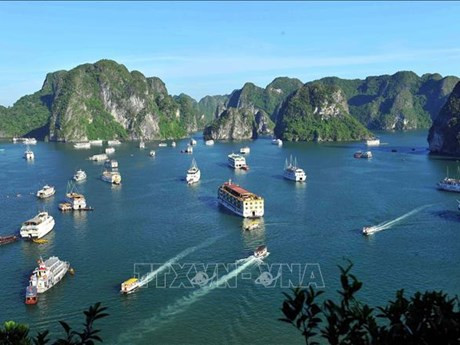 La Bahía de Ha Long (Foto: VNA)