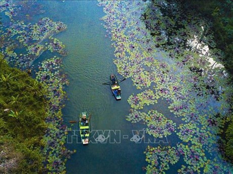 Ninh Binh: un destino atractivo para los turistas. (Foto: VNA)