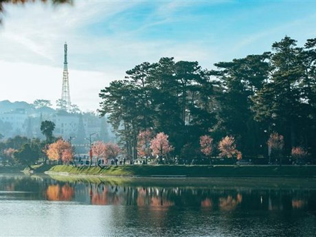 Lago Xuan Huong, en la ciudad de Da Lat (Foto: VNA)