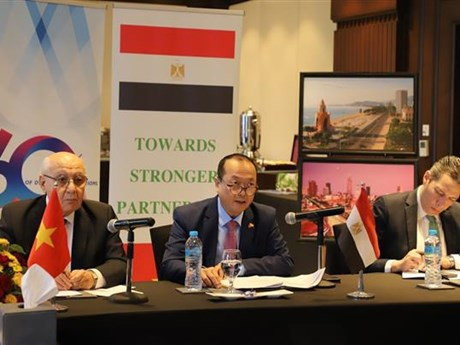 El embajador de Vietnam en Egipto, Nguyen Huy Dung, habla en el evento (Fuente:VNA)
