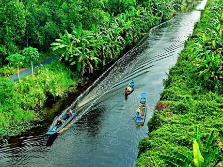 En el Parque Nacional U Minh Ha (Fuente: Revista Dai doan ket)