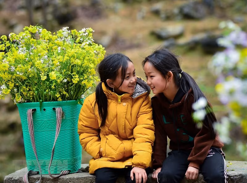 Niñas con canasta llena de flores de canola a sus espaldas juegan en la pendiente de Tham Ma. Niñas con canasta llena de flores de canola a sus espaldas juegan en la pendiente de Tham Ma.
