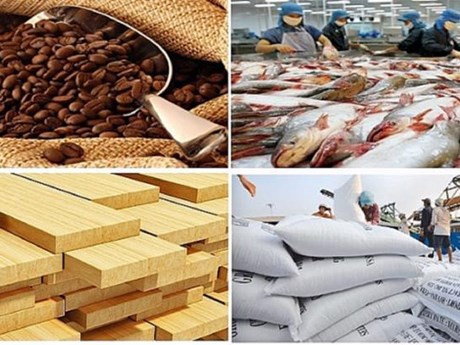 El valor de exportaciones de productos agrícolas, silvícolas y acuícolas de Vietnam en 2023 alcanzó 53,01 mil millones de dólares, con un superávit récord de 12,07 mil millones de dólares (Fuente:VNA)