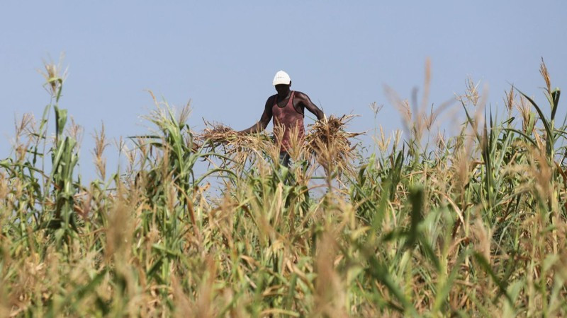 Liberar las potencialidades de África
