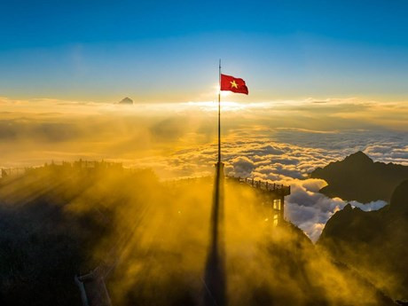 Fansipan, ''musa'' de Asia (Foto: Le Viet Khanh)