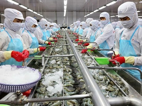 Industria camaronera de Vietnam se esmera en lograr meta de exportación para 2023