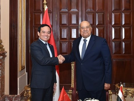 El viceprimer ministro vietnamita Tran Luu Quang se reúne con el presidente del Consejo de la Shura egipcio Abdel-Wahab Abdel-Razek (Fuente: Periódico Electrónico del Gobierno)
