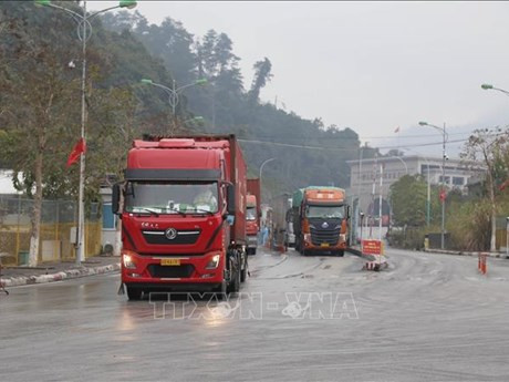 Aumentan exportación e importación de productos agrícolas mediante puertas fronterizas de Lang Son (Fotografía: VNA)