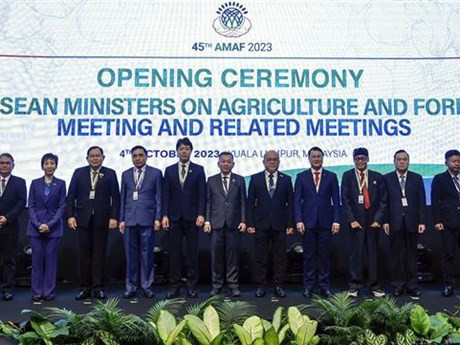 Los ministros de Agricultura y Silvicultura de Asean. (Fuente: VNA)