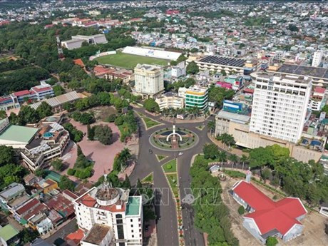 Buon Ma Thuot se esfuerza para convertirse en ciudad cafetera del mundo (Fotografía: VNA)