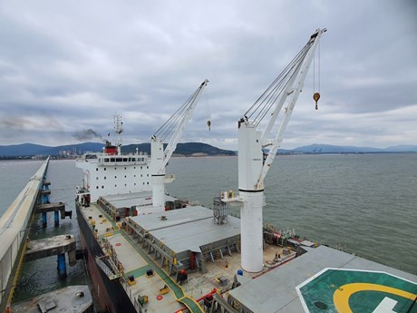 La capacidad total de la fábrica principal de cemento Nghi Son alcanza 4,3 millones de toneladas por año. (Foto: Nghi Son)