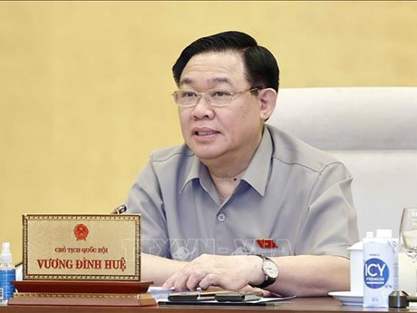 El presidente de la Asamblea Nacional de Vietnam, Vuong Dinh Hue, interviene en la reunión. (Foto: VNA)