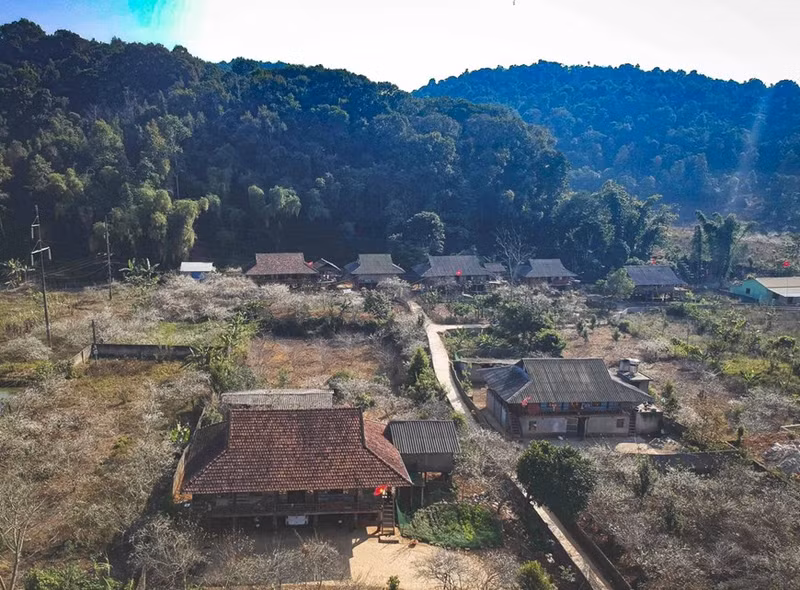 La belleza del valle de Phieng Ban en primavera. (Foto: VNA)