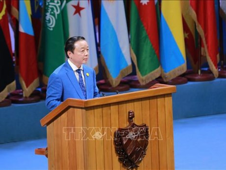 El viceprimer ministro de Vietnam, Tran Hong Ha, interviene en el evento (Fuente:VNA)