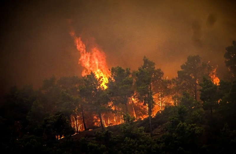 Ambición de la Unión Europea en objetivos climáticos 