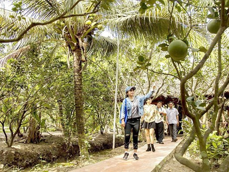 Turistas en provincia de Ben Tre (Foto: VNA) 