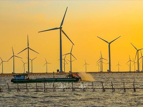 Planta de energía eólica Bac Lieu en la comuna de Vinh Trach Dong, ciudad de Bac Lieu. (Foto: VNA)