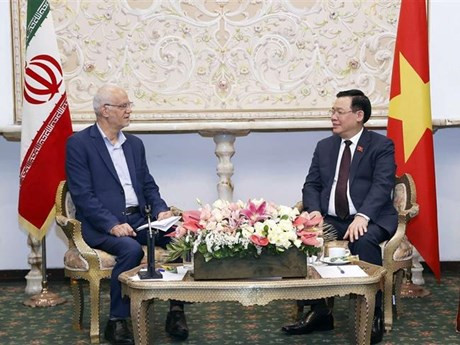 El presidente de la Asamblea Nacional, Vuong Dinh Hue, sostiene encuentro con el titular de la Asociación de Amistad Irán-Vietnam, Seyed Kamal Sayjadi. (Foto: VNA)