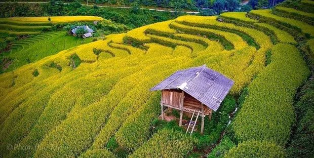 Campos de arroz en terrazas en la comuna de Hung Dao, distrito de Bao Lac, Cao Bang (Foto: VNA)