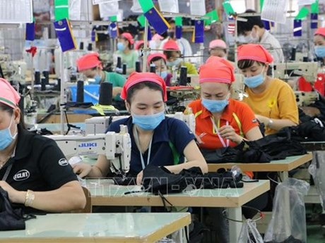 Cadena de producción en la compañía de Eclat Vietnam. (Fuente: VNA)