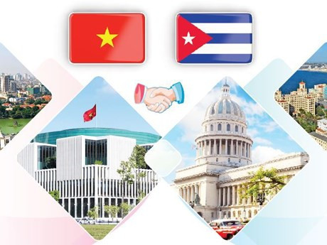 Nexos tradicionales especiales Vietnam - Cuba