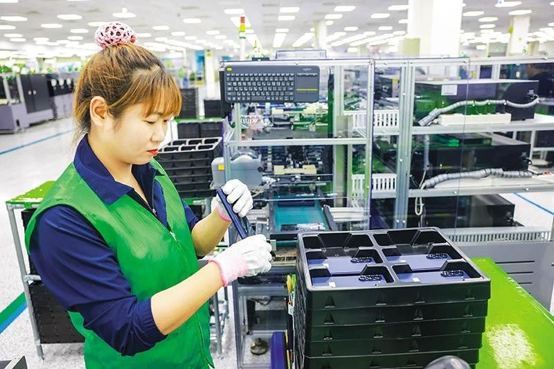 Samsung quiere convertir Vietnam en un “bastión” para la fabricación de pantallas de nueva generación para Samsung a nivel mundial. (Foto: baodautu.vn) 