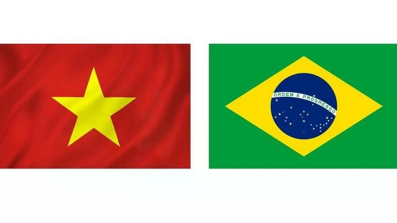Presidente Ho Chi Minh sembró las semillas de relación Brasil - Vietnam