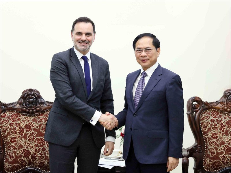 El viceprimer ministro y canciller de Vietnam, Bui Thanh Son, y el ministro delegado francés de Comercio Exterior y de Franceses en el Extranjero, Laurent Saint-Martin. (Fuente: VNA)