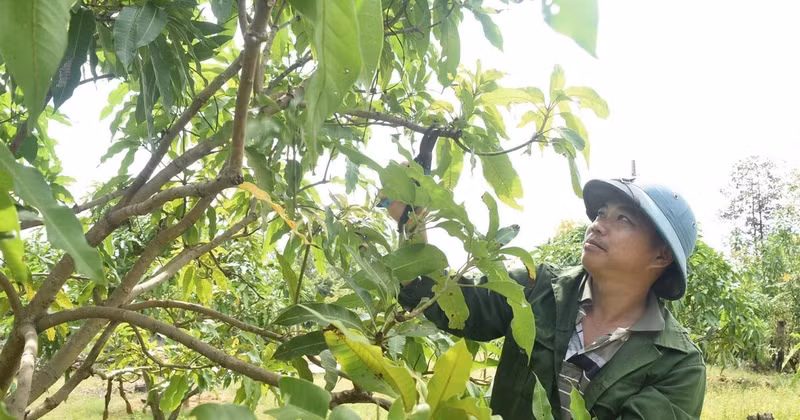 Foto de ilustración.